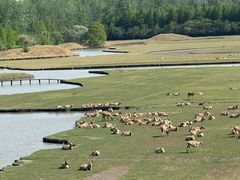 -溱湖国家湿地公园