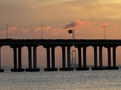 -宝安西湾红树林湿地公园