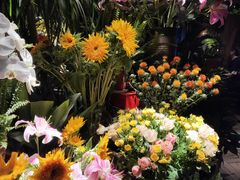 -春暖花开(西溪店)