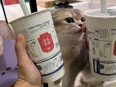 -隆延茶铺(学清路驹然店)