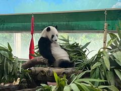 -广州动物园