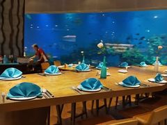 -海棠湾洲际-涛·海底餐厅·美人鱼·自助餐·海底隧道