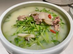 鲜鸡汤煮豆苗-在前门·烤鸭北京菜(五月花广场店)