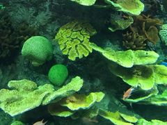 -福州罗源湾海洋世界旅游区