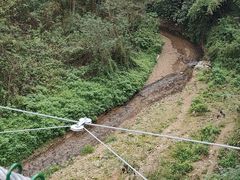-西双版纳原始森林公园