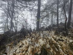 -秦岭天竺山生态文化旅游景区