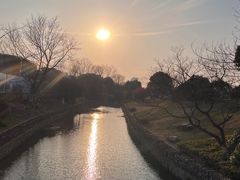 -羊山湖公园