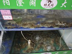 -阳澄湖大闸蟹·琼灵阁牌品牌连锁(吴中总店)