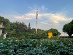 -广州市紫泥堂文化创意园景区