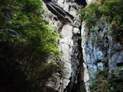 -武陵山森林公园
