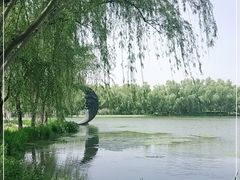 -昆山城市生态森林公园