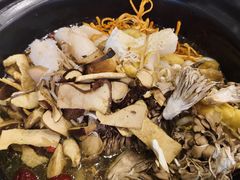 -菌乡缘·野生菌蒸汽鱼火锅(江边夜市店)