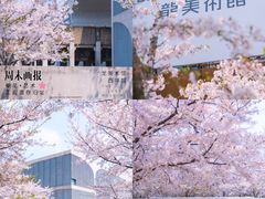 -顾村公园