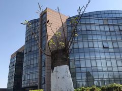 -四川大学江安校区小吃城