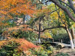 -宝岩生态观光园