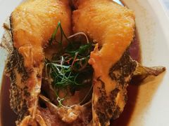 黄油花雕浸笋壳鱼-玫瑰厅上海菜(兴国路店)