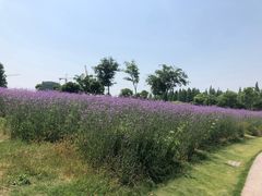 -歌斐颂巧克力小镇