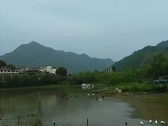 -后柳水乡