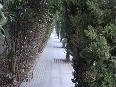 -侵华日军南京大屠杀遇难同胞纪念馆