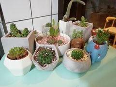 -蜜蜂小象·榴莲千层蛋糕(时代汇11栋店)