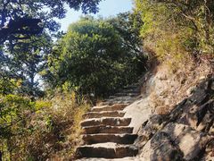 -梧桐山风景名胜区