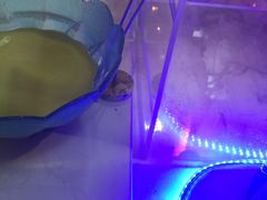 -舜耕山庄四时万和自助餐厅