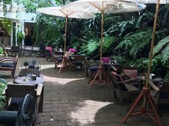 景观位-Fern Forest Cafe