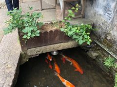 -前童古镇