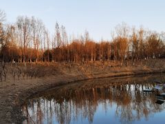 -大兴滨河森林公园