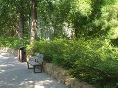 DSC_3322-南馆公园