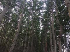 -窦店服务区-停车场