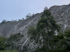 -水濂山森林公园