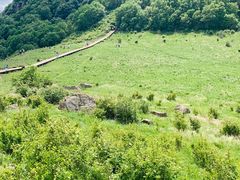 -白草畔自然风景区