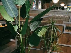 -湊湊火锅·茶憩(皇姑万象汇店)