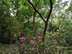 -燕晗山郊野公园