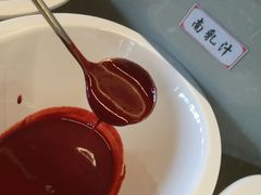 -蘑统田下·野生菌火锅