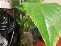 -同庆楼(花园店)