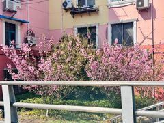 -桃浦新村(地铁站)