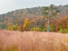 -南京市无想山景区