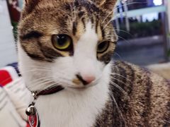 -肯德基(昌里店)