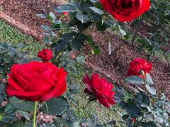 -人民公园(罗湖区)