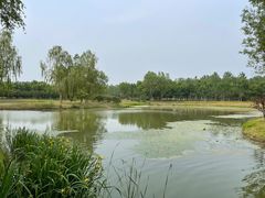 -东郊湿地公园