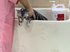 -多卡布奇宠物生活馆(上林世家店)