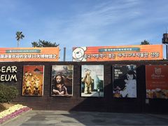 -济州岛泰迪熊博物馆