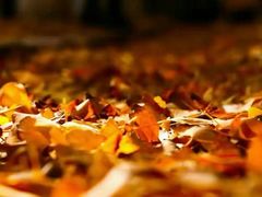 -辽东学院(南校区)