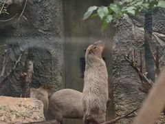 -南昌动物园
