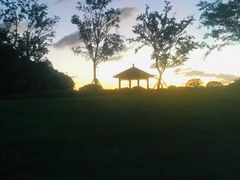 -梁鸿国家湿地公园