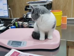 -瑞派名望24h动物医院异宠专科·猫专科·骨科·重症监护分院