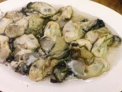 海蛎子-牛叔鲜羊肉铜火锅(远东小区店)