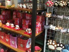 -猫咪博物馆(顶澳仔猫街店)